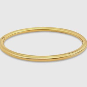 A gold bangle is shown with no background.